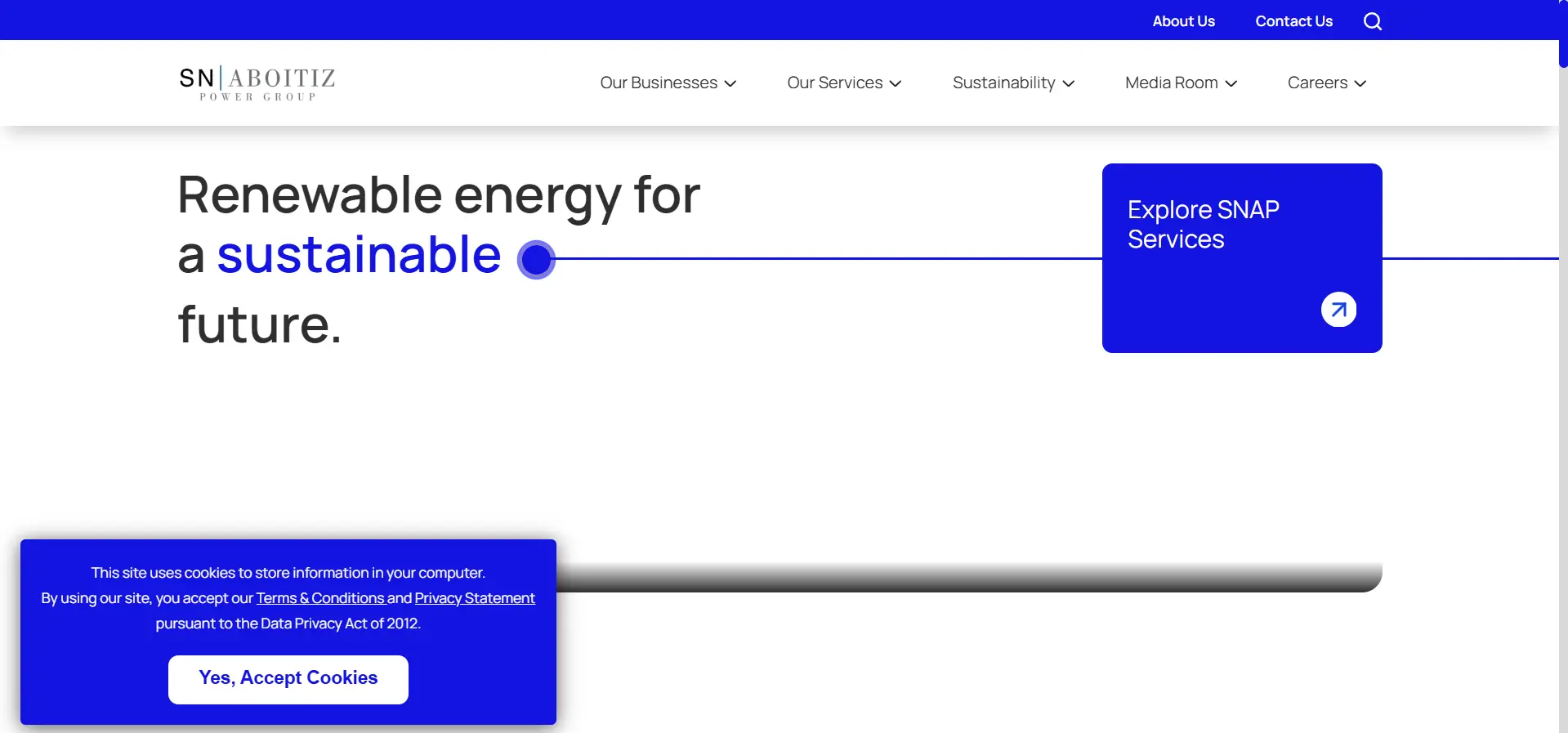 SN Aboitiz Website Screenshot